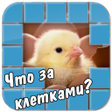 Programikonen: Угадай что за клетками