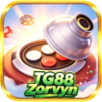 프로그램 아이콘: TG88Zorvyn