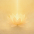 プログラムのアイコン：Brahma Kumaris Official