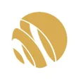 BintangChip icon
