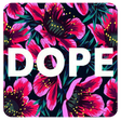 プログラムのアイコン：Dope Wallpapers MX