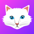 Icon of program: Live Talk - Random Video …