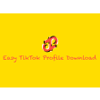 Easy TikTok Profile Download
