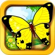 Butterfly baby games - learn with kids color game