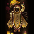 プログラムのアイコン：Shrinathji Chalisa,Bhajan…