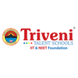 Programikonen: Triveni Talent Schools