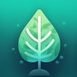 程序图标：Bible Verse Quotes Raise …