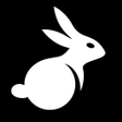 Programın simgesi: BunnyX VPN