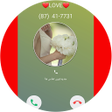 プログラムのアイコン：fake call