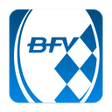 프로그램 아이콘: BFV