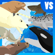 Icoon van programma: Polar Bear Fight Arctic A…