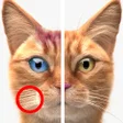 プログラムのアイコン：Find Differences Plus