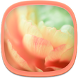 Programikonen: Wallpapers for Samsung S6…