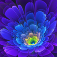 Programikonen: Neon Flowers Live Wallpap…