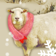 프로그램 아이콘: Snowy SheepTheme HOME