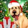 Dog Advent Calendar for Xmas