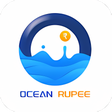 プログラムのアイコン：OceanRupee