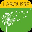 Larousse Verb Conjugation