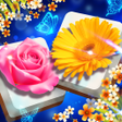 程序图标：Blossom Match