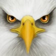 Icon of program: Ultimate Bird Simulator