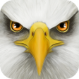 Иконка программы: Ultimate Bird Simulator