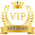 程序图标：VIP NET GURU