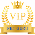 VIP NET GURU