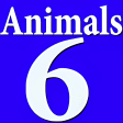 Animals 6