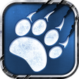 Icon of program: 트라이브 워 드래곤