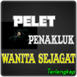 Icon of program: Mantra Pelet Penakluk Wan…