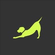 Programikonen: Doggystaile - App salud c…