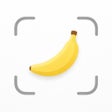 Ikon program: Nutron: Food Scanner