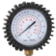 プログラムのアイコン：Tyre Pressure