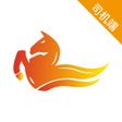 Ikon program: 飞马出行司机端