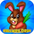 Icoon van programma: Hallway Dash
