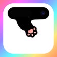 أيقونة البرنامج: Cuty pet: Widget  island …