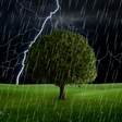 プログラムのアイコン：Thunderstorm Live Wallpap…