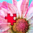 Icon of program: Live Jigsaws - 3D Animate…