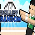 Programikonen: Volley Random Game