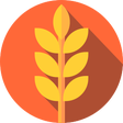 Ikona programu: Gluten Free E