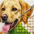 Icon of program: Cross stitch : Color by L…