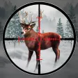 Wild Deer Animal Hunting Games