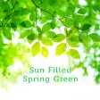 Sun Filled Spring Green Theme