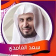 Icon of program: سورة البقرة - سعد الغامدي…