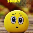 プログラムのアイコン：Sorry Messages Images pic…