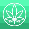 程序图标：NewsBudz