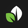 Programikonen: Sprout Social
