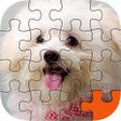 أيقونة البرنامج: Puppy Play Jigsaw Puzzle …
