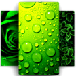 Icona del programma: Green Wallpaper 4K Green …