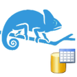 Biểu tượng của chương trình: AncyraFramework5
